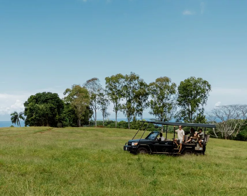 group safari activity at Bel Ombre Nature Reserve Mauritius