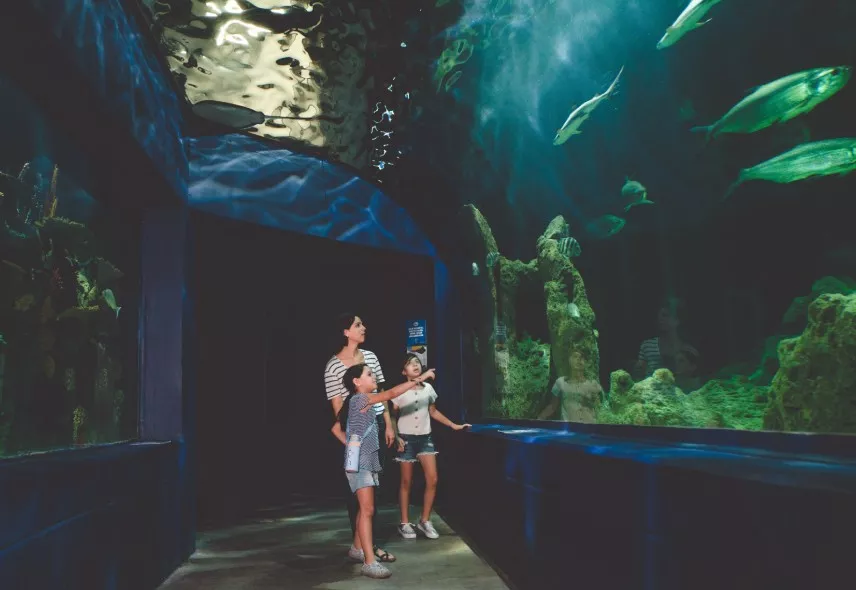 Odysseo Oceanarium family attraction Mauritius