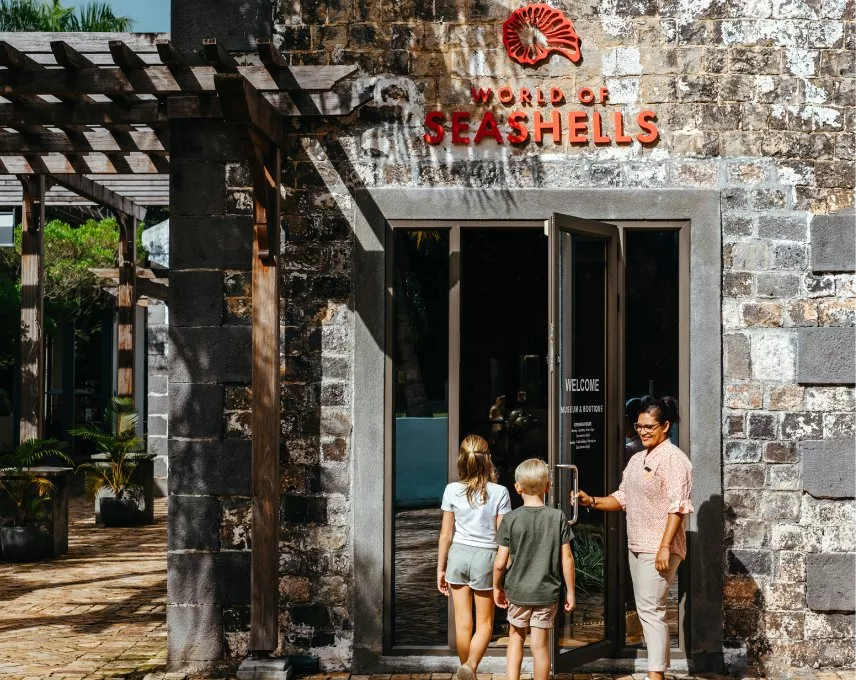 world of seashells museum marine life mauritius