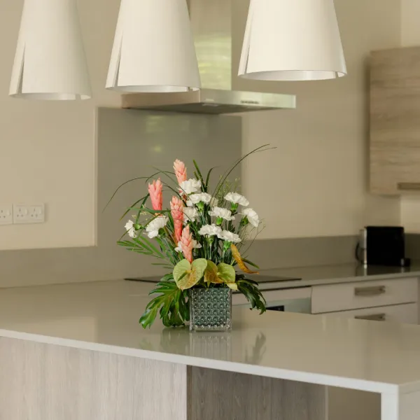 Close-up of modern kitchen in a 3 bedroom villa