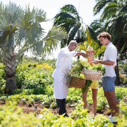 Heritage Le Telfair vegetables garden 