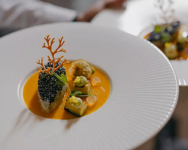 Embark on a Gastronomy adventure