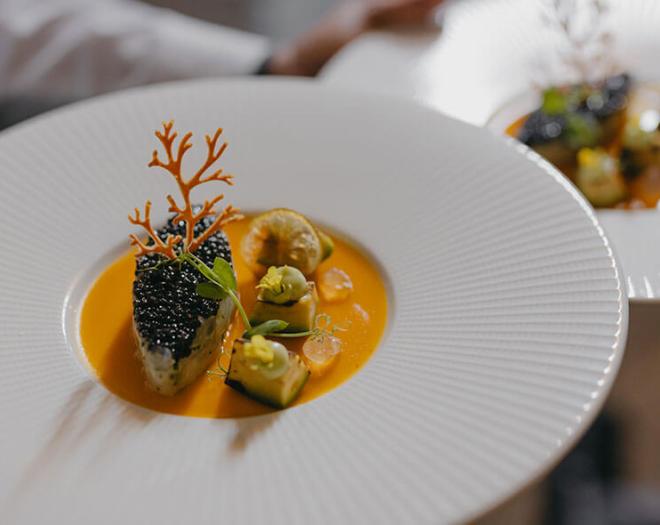 Embark on a Gastronomy adventure