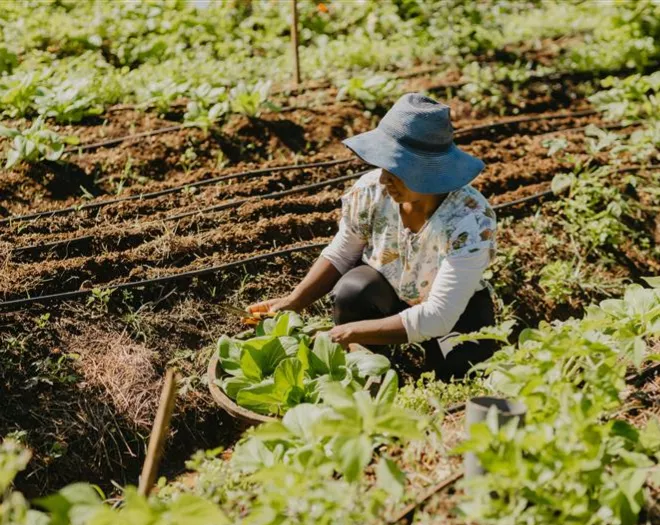 sustainable practices heritage resort mauritius