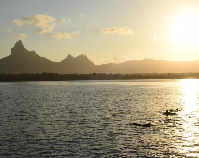 west coast with beautiful sunset view mauritius
