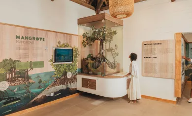 Marine Education Centre Bel Ombre Mauritius