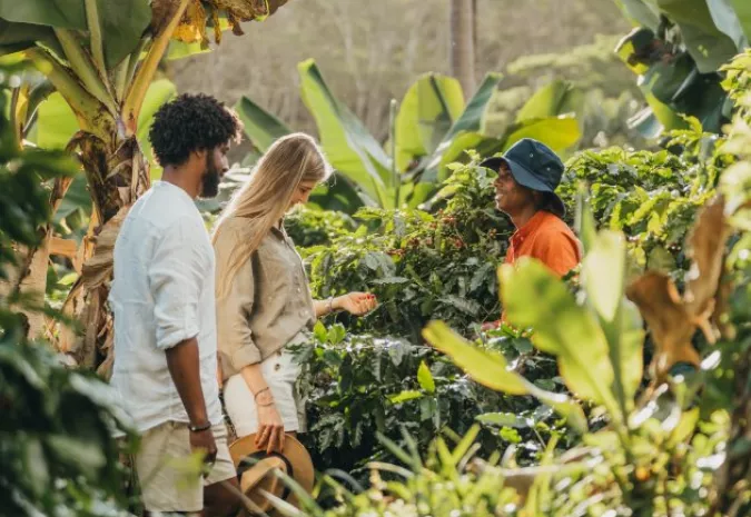 Coffee tour experience – Portrait view