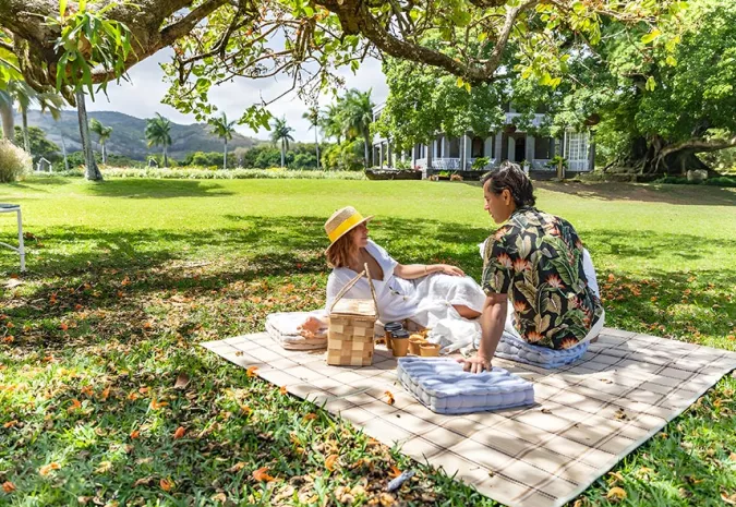 Private Picnic at Le Chateau de Bel Ombre