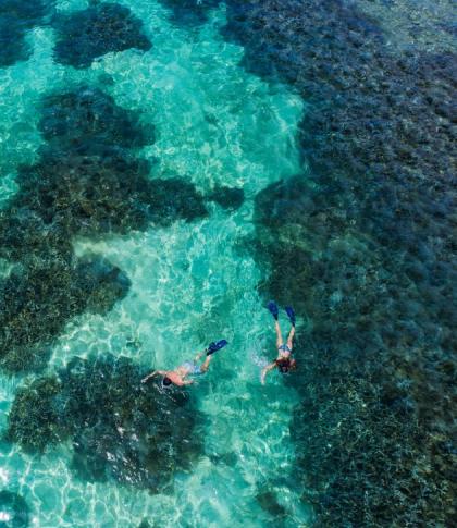 Snorkelling diving in the blue lagoon to discover corals
