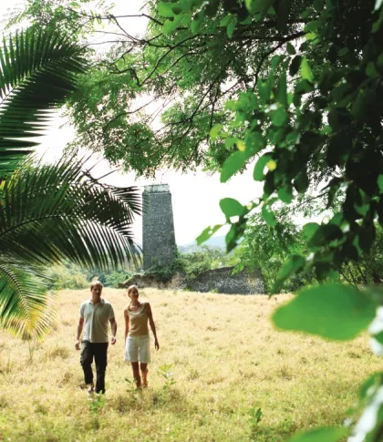 Trail at the Bel Ombre Nature Reserve Mauritius